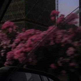 بت حبب Profile Picture