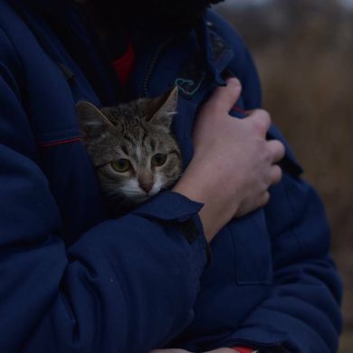 Russik Anayov Profile Picture