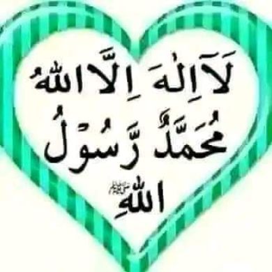 HussenSiraj Profile Picture
