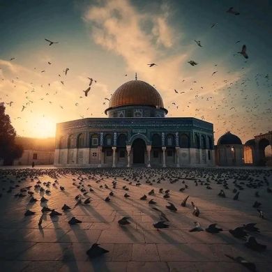 Suhayeb Profile Picture