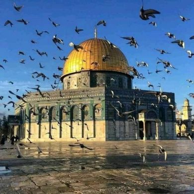 Abusinaan Mohammed Kedir
