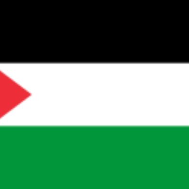 Mujahid Mudesir
