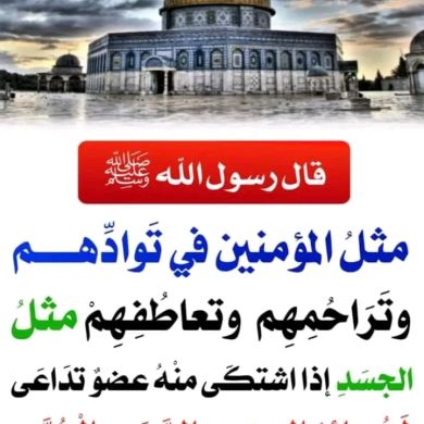 Yassin Mohammed