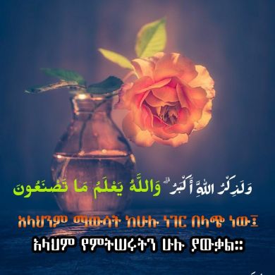 Lubaba-Mohammed