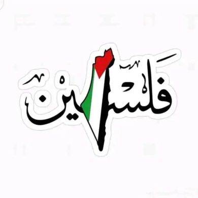 seyfedin redi Profile Picture