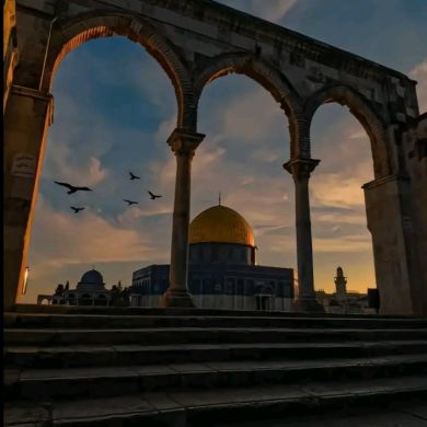 Shemsl7 Medina
