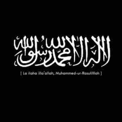 umma1697563381