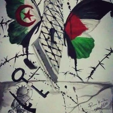 taraf muqeem Eddin Profile Picture