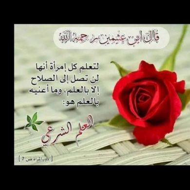 Tawheed First Profile Picture