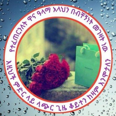 Umu Sumaya L Profile Picture
