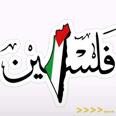 AHMED WOLLO