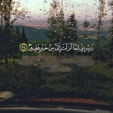 أحمد أبو كرم Profile Picture
