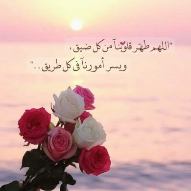 طيبه طيبي