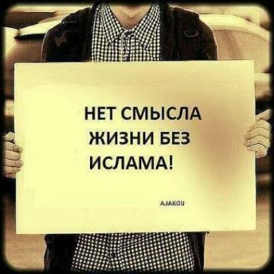 Василий Алибабаев Profile Picture