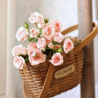 Asiya -