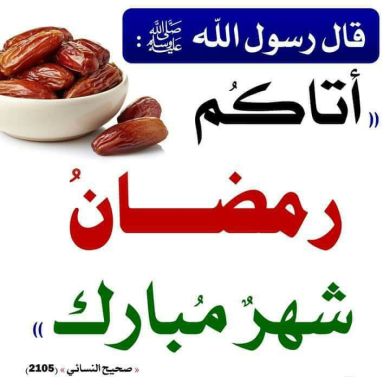 Mohammed ahmed Profile Picture