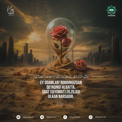 muslimCoder Profile Picture