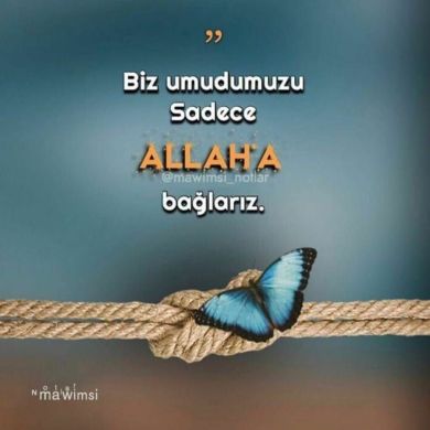 Nuriye Efnan