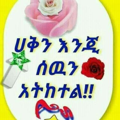 Abdlemejed kelifa