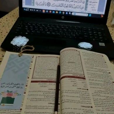 zeinab mostafa