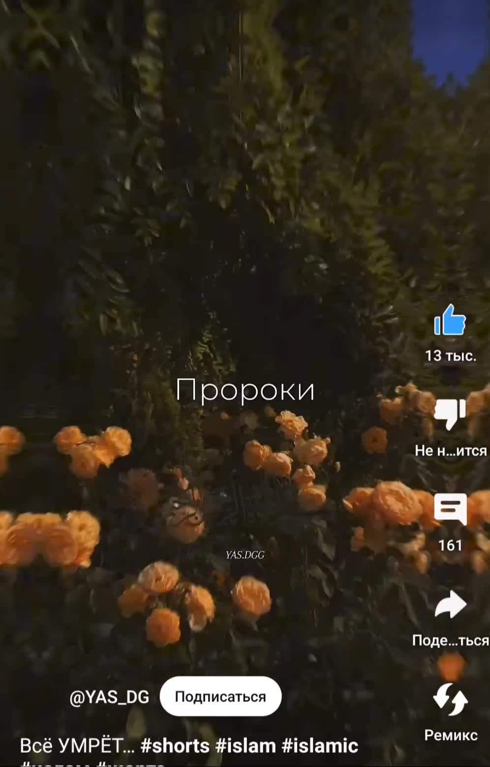 YouTube Video