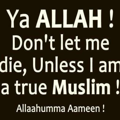 Ahmed Ali