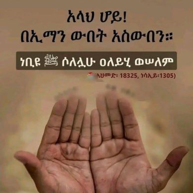 Abdul Jelil Nasr Profile Picture