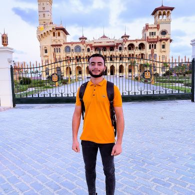 Ali Elsaied