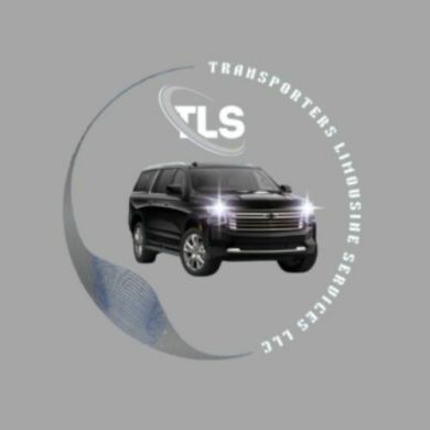 Transporters Limousi