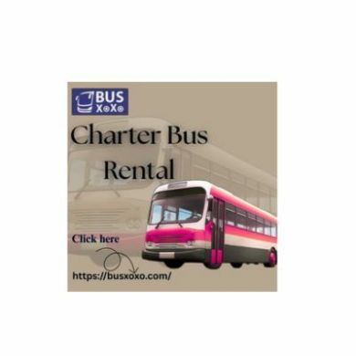 Busxoxo Service