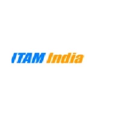 iTAM India - IT Asse