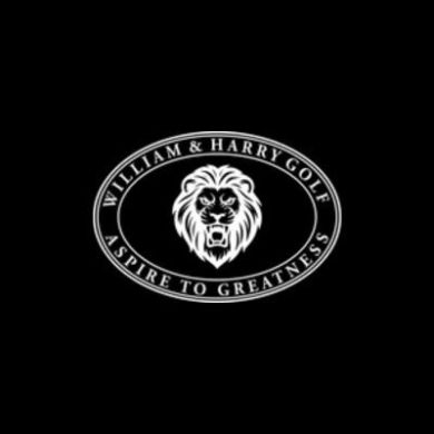 WILLIAM AND HARRY HOLDINGS INC
