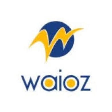 Waioz Consultancy Services Profile Picture