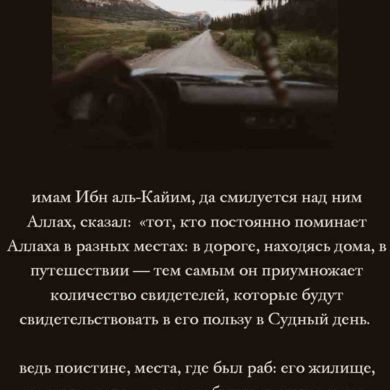 абу муъмин
