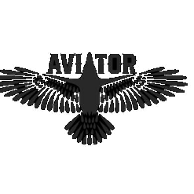 Aviator Coats