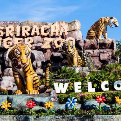 Tigertopiasrirachazoo Profile Picture