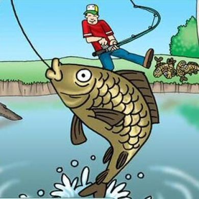 allfishing buy