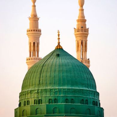 Seid hussein Profile Picture